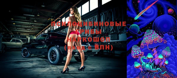 прущая мука Алзамай