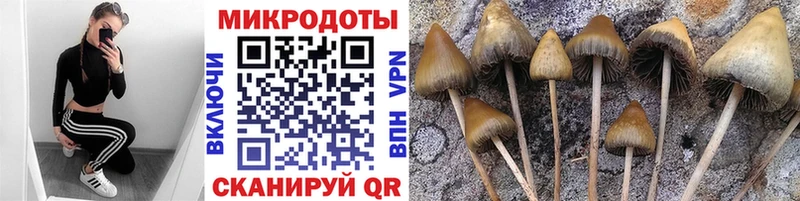 блэк спрут вход  сколько стоит  Дубовка  Галлюциногенные грибы ЛСД 